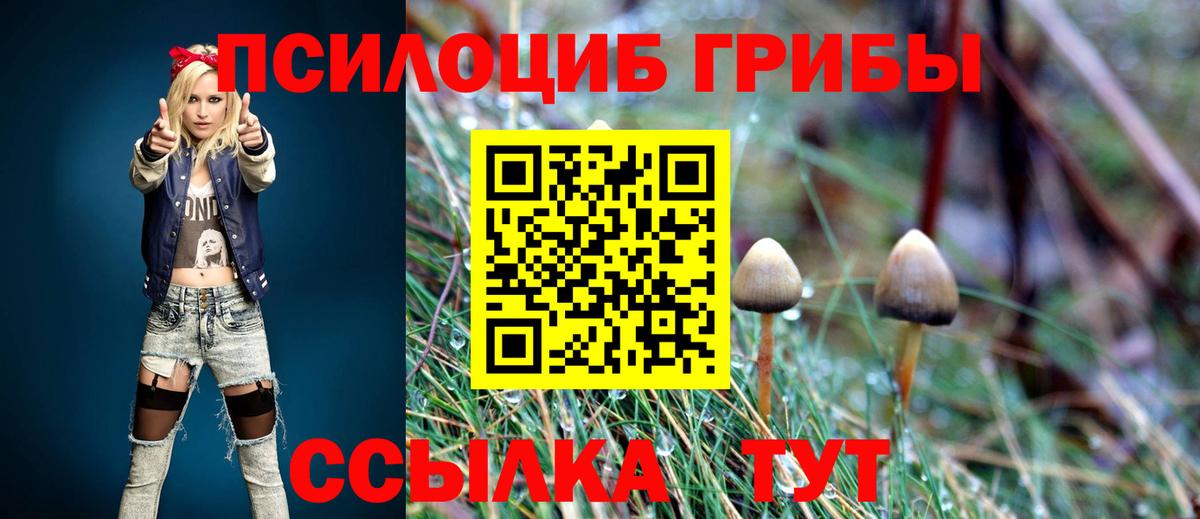 Псилоцибиновые грибы Cubensis  Вход с VPN  Дербент 